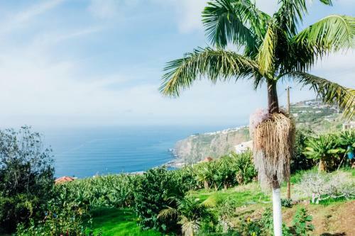 Lovely 3-bed Cottage In Ribeira Brava