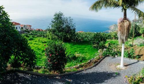 Lovely 3-bed Cottage In Ribeira Brava