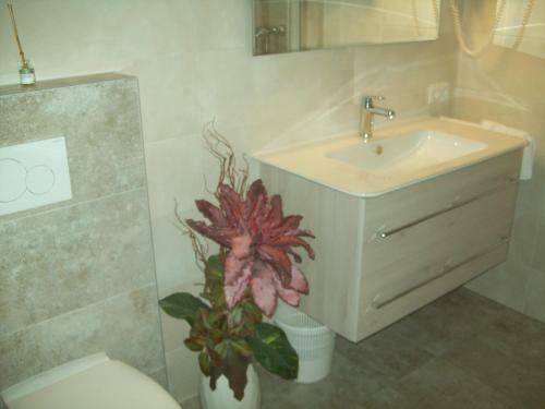 Hostal Pension Grein