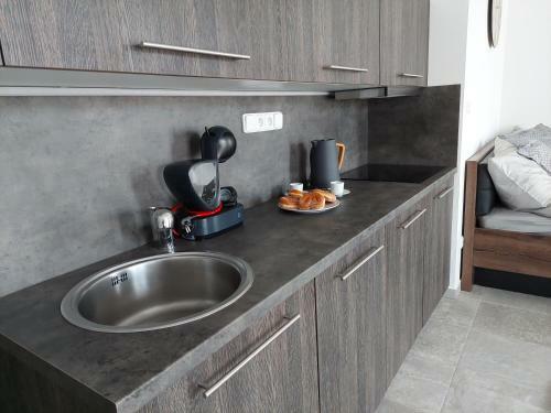 Apartm�n Rezidence Javor ?elezn� Ruda