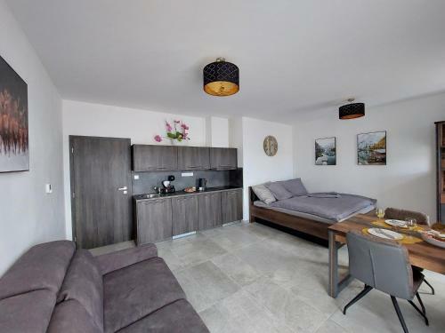 Apartm�n Rezidence Javor ?elezn� Ruda