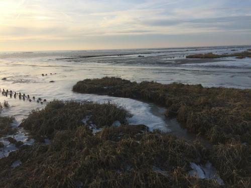 Apartamento Landhaus Nordsee-peerhuus