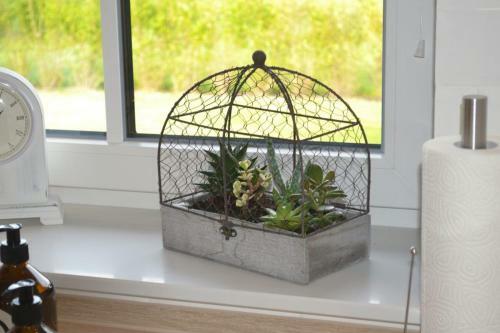 Reetdachhaus Seestern