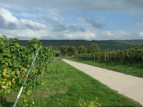 Apartamento Ferienwohnungen In de Goldisch Luft