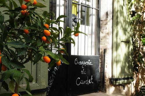 Orangerie de Cardet - Apartment Le Mandarinier