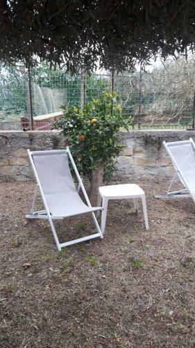 Villa Persefone - Splendida Villa Con Giardino