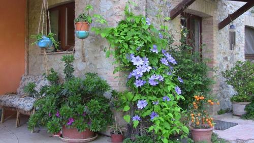 Apartamento Agriturismo Frallarenza