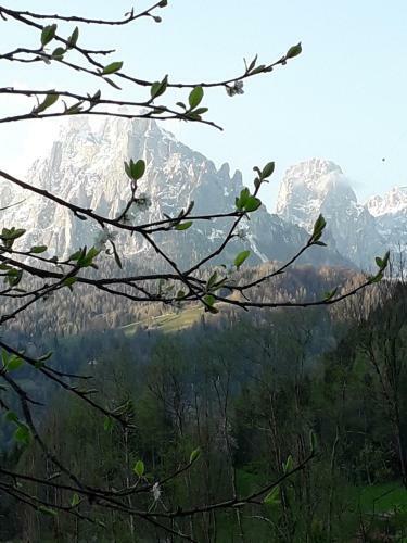 Apartamento Casa Scalet