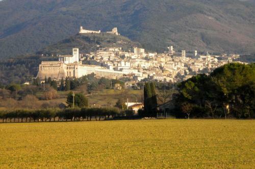 Il Borgo Del Fattore B&B