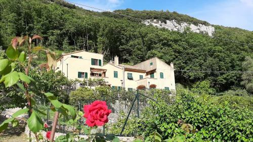 Agroturismo Agriturismo Alveare