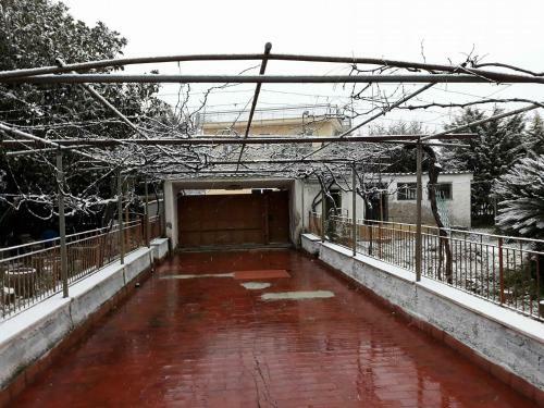 Hostal Villa Lucia Affitta Camere