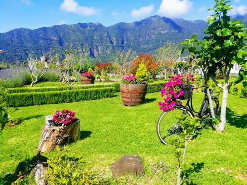 Agroturismo Granny's Farm