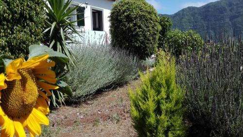 Agroturismo Granny's Farm