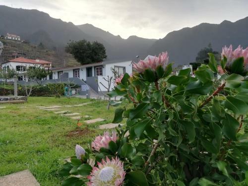 Agroturismo Granny's Farm