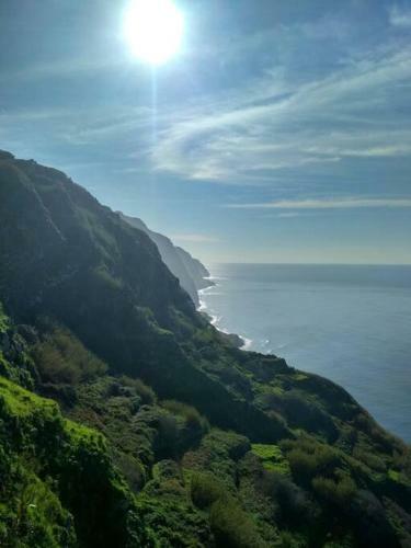Apartamento Lazy Lizard Studio