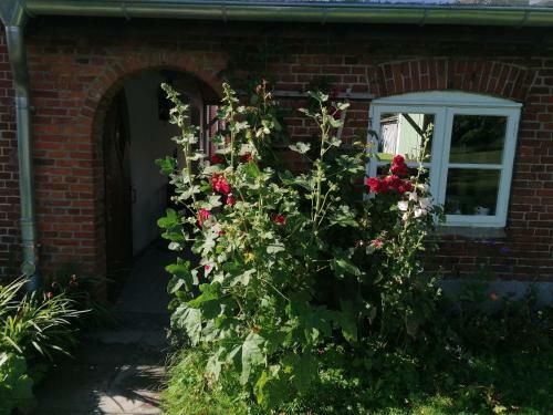 Apartamento Fw Achterdeck, Petershof-lehbek