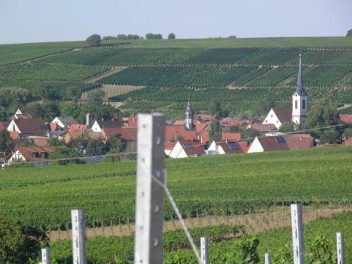 Apartamento Weingut-ferienhof Sch�fer