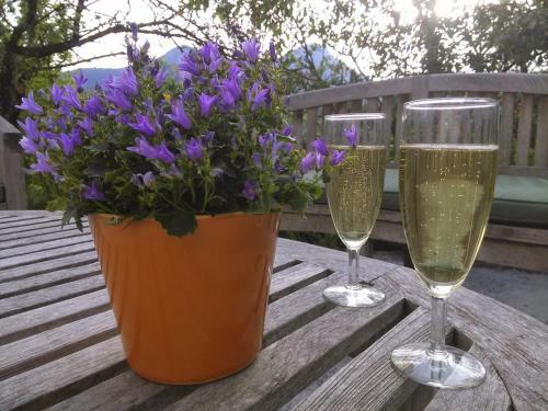 Bed & Breakfast Bnb Castellane