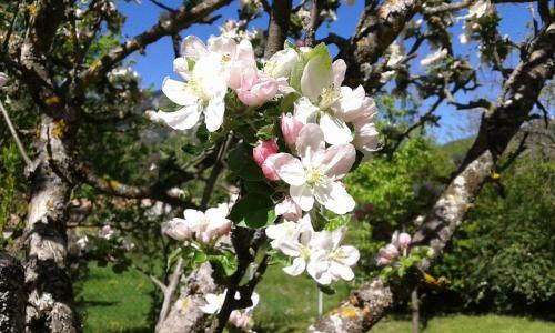 Bed & Breakfast Bnb Castellane