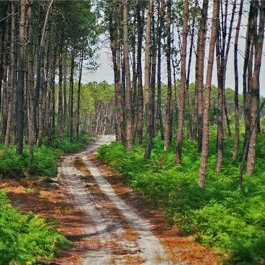 Bed & Breakfast Au ' Bord Des Landes '