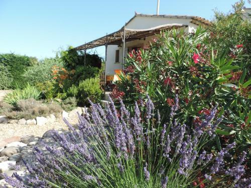 G�te Le Far� Tchanqu�