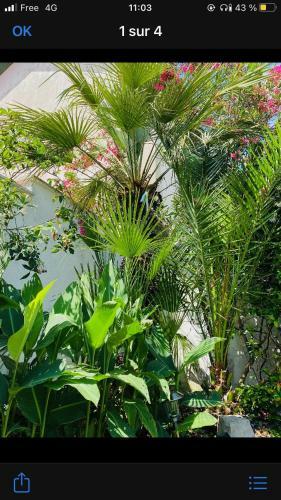 Hotel H�tel Le 28