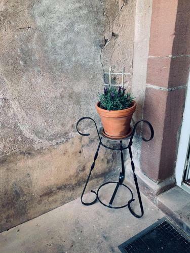 Apartamento Appartement Avec Terrasse Privative