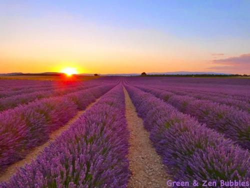 Apartamento G�te La Grange Au C?ur de La Provence