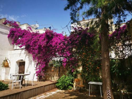 Hostal Castle XVIII Near Sea