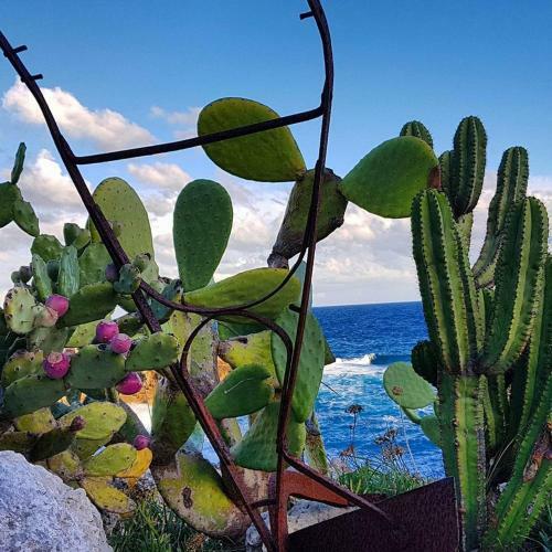 Villa Vittoria - Marina Di Novaglie