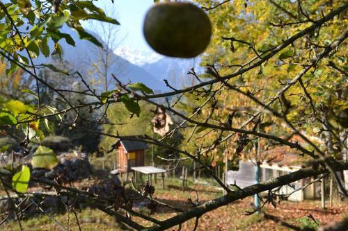 Apartamento Panorama-appartements Oase