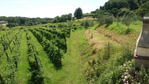 Agroturismo La Bosca Agriturismo