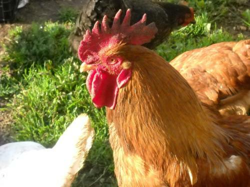 Azienda Agricola 25 Ponti