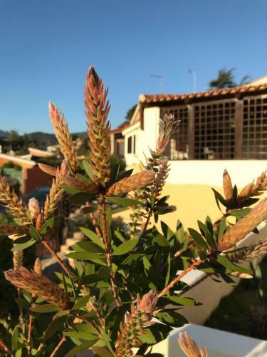 Casa Panoramica Vista Mare