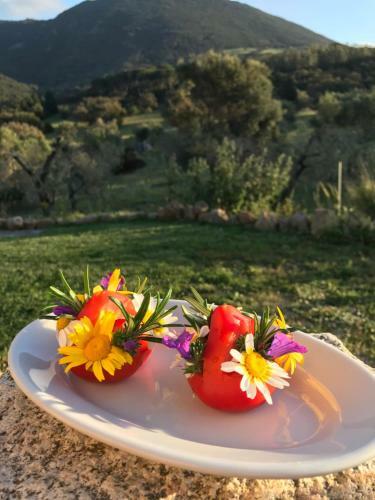 Agroturismo Agriturismo Is Conchisceddas