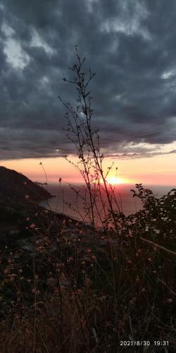 Dimora Tra Cielo E Mare A Gioiosa Marea