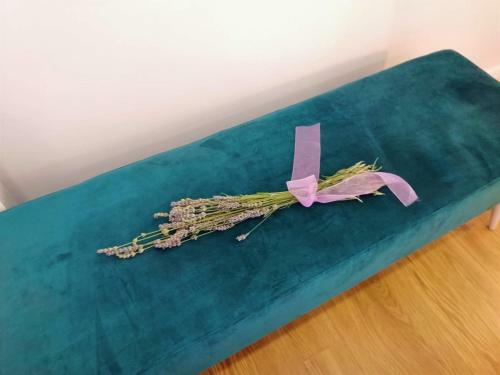 Apartamento Casa D��gua