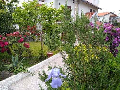 Hostal Casa Da Piedade, Vouzela