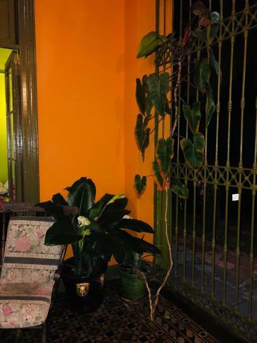 Hotel Domeyer Hostel