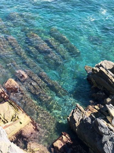 Apartamento Romantic Sea View Flat In Genova Nervi