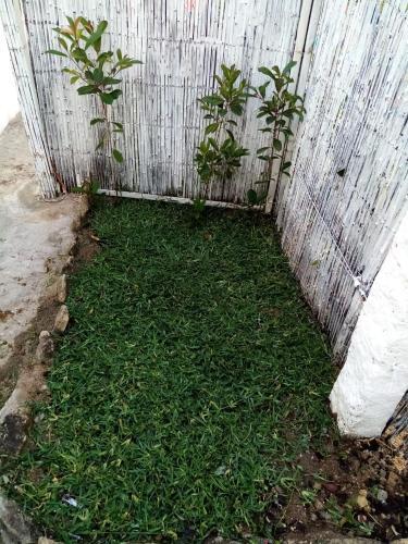 Apartamento Oportoland Private Family Home - 145