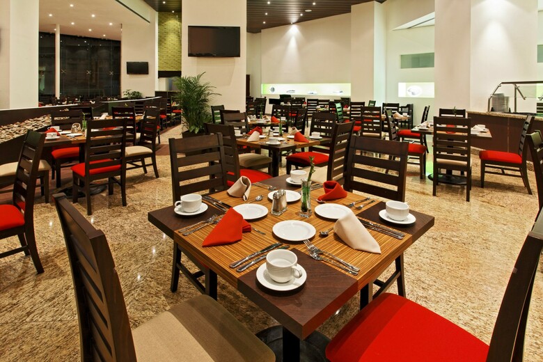 Hotel Holiday Inn Mexico City-plaza Universidad