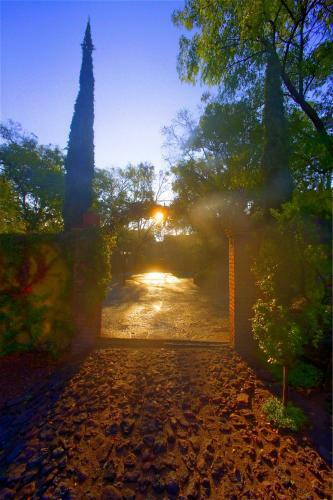 La Casa de Las Bugambilias - Boutique Villas Xichu