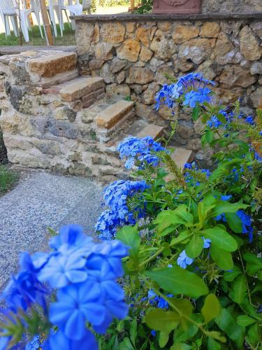 Apartamento La Bellana