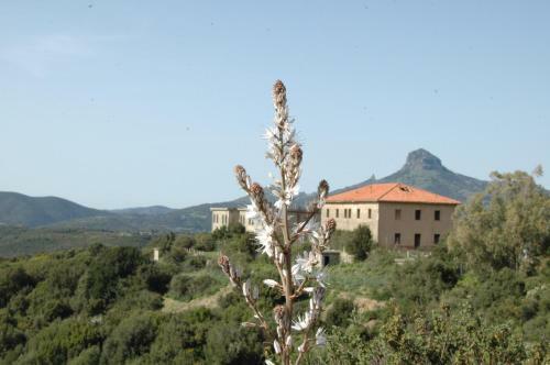 Apartamento Little Holiday House