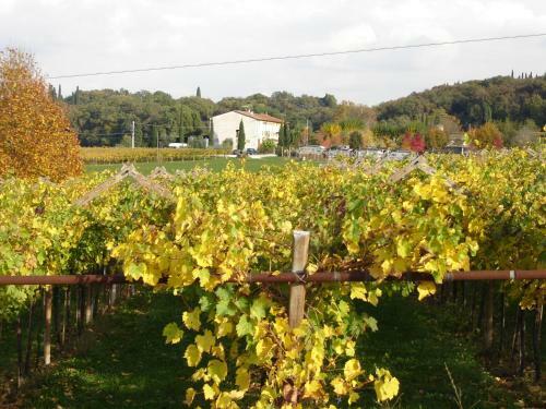 Agroturismo Agriturismo Le Caldane