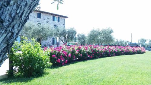 Apartamento Agriturismo Le Ginestre
