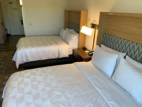 Hotel Holiday Inn Baton Rouge-south