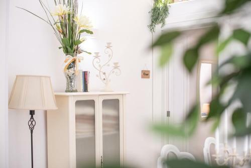 Bed & Breakfast Toma Street