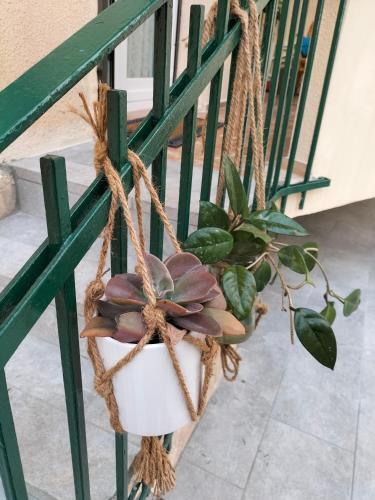 Apartamento Casetta Albal�